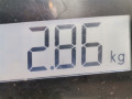 насос гидроусилителя руля Renault Scenic 2 поколение 2005, 1.6 л., МКПП, минивэн, 7700431286 - фото №6