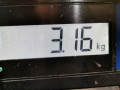 шкив коленвала Mercedes-Benz C-Класс W203/S203/CL203 2003, 2.2 л., АКПП, седан, A6110301703 - фото №6