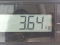 стеклоподъемник электрический задний правый Ford Focus 2 поколение 2006, 1.8 л., МКПП, универсал, 1738648 - фото №7