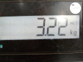 пружина задняя Skoda Rapid 1 поколение NH 2015, 1.6 л., МКПП, хетчбэк 5 дв., 1J0511115AM - фото №5