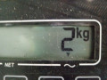 крыло переднее левое Volkswagen Scirocco 3 поколение 2011, 2.0 л., МКПП, хетчбэк 3 дв., 1K8821105B - фото №8