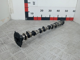 распредвал Nissan Navara D40 2007, 2.5 л., МКПП, пикап, 13020AU600