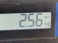 руль Mazda 2 1 поколение DY 2005, 1.4 л., МКПП, хетчбэк 5 дв., DG4032980A97 - фото №5