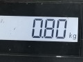 подлокотник Opel Zafira 1 поколение (A) 2001, 1.8 л., МКПП, минивэн - фото №4