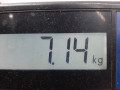 стойка амортизатора Ford C-Max 1 поколение 2003, 1.8 л., МКПП, минивэн, 1619269 - фото №6