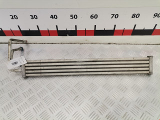 радиатор гидроусилителя BMW 5 серия F07/F10/F11 2012, 3.0 л., АКПП, седан, 17217570100