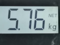 суппорт передний левый BMW X1 E84 2010, 2.0 л., МКПП, внедорожник 5 дв., 34116778145 - фото №5