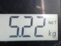 диск тормозной задний Volkswagen Golf 4 поколение 2000, 1.4 л., МКПП, хетчбэк 3 дв., 1J0615601N - фото №7
