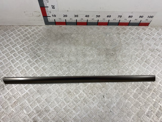 молдинг двери передней левой BMW X7 G07 2018, 3.0 л., B57 D30 C, дизель, arktikgrau brill. metallic (c27), 51138092879