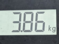 стабилизатор подвески передний Citroen Xsara Picasso 1 поколение 2002, 1.8 л., МКПП, минивэн, 508189 - фото №6
