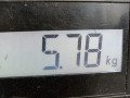 ступица передняя правая Opel Omega B [рестайлинг] 2000, 3.0 л., МКПП, универсал, 90486467 - фото №4