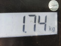 защита арок задняя правая (подкрылок) Mercedes-Benz C-Класс W204/S204 2007, 2.2 л., АКПП, седан - фото №5