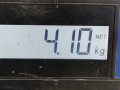 суппорт передний правый Mitsubishi Colt 6 поколение (Z20/Z30) 2005, 1.3 л., МКПП, хетчбэк 3 дв., 4400N9 - фото №7