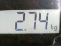магнитола Mazda 3 BK [рестайлинг] BK 2006, 1.6 л., МКПП, хетчбэк 5 дв., BR2B66AR0 - фото №7