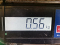 кронштейн генератора Mazda 3 BK 2003, 1.6 л., МКПП, хетчбэк 5 дв. - фото №3