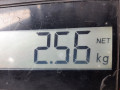 стабилизатор подвески передний Opel Corsa D 2010, 1.2 л., МКПП, хетчбэк 5 дв., 13343139 - фото №7