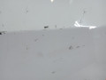 дверь передняя правая BMW X5 E70 2007, 3.0 л., АКПП, внедорожник 5 дв., 41517211424 - фото №2