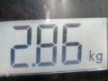 стартер Nissan Qashqai 1 поколение 2007, 2.0 л., МКПП, внедорожник 5 дв., 23300EN20A - фото №8