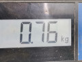 переключатель подрулевой (стрекоза) Renault Modus 1 поколение 2005, 1.2 л., МКПП, минивэн, 8201590627 - фото №8