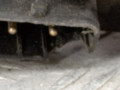 блок ABS BMW 7 серия E38 1998, 34511090911 - фото №5