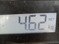 пружина задняя Mazda 5 CR 2006, 2.0 л., МКПП, минивэн, CG4628011 - фото №4