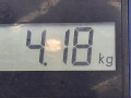 стабилизатор подвески передний Opel Astra H/Family [рестайлинг] 2010, 1.6 л., МКПП, хетчбэк 5 дв., 13208044 - фото №6