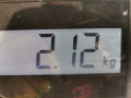 стеклоподъемник электрический передний правый Kia Sorento 1 поколение 2003, 2.5 л., АКПП, внедорожник 5 дв., 824023E001 - фото №5
