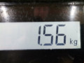 подушка крепления двигателя Lexus IS 2 поколение (XE20) 2006, 2.2 л., МКПП, седан, 1236126070 - фото №5