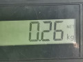 заглушка (решетка) в бампер MG ZT 1 поколение [рестайлинг] 2005, 2.0 л., МКПП, седан, DOF000060PMA - фото №5