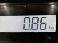 заслонка дроссельная Opel Astra H/Family [рестайлинг] 2008, 1.9 л., МКПП, хетчбэк 5 дв., 55199971 - фото №7