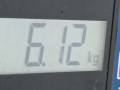 стойка амортизатора Audi A3 8P/8PA [рестайлинг] 2008, 1.6 л., МКПП, хетчбэк 5 дв., 1K0413031AS - фото №6
