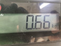 замок двери сдвижной Ford C-Max 2 поколение 2014, 1.6 л., МКПП, минивэн - фото №8