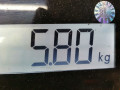 суппорт передний правый Opel Insignia 1 поколение (A) 2009, 2.0 л., МКПП, хетчбэк 5 дв., 13279639 - фото №3