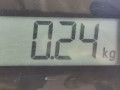 ручка наружная SEAT Alhambra 1 поколение [рестайлинг] 2002, 1.9 л., МКПП, минивэн, 7M0837208G - фото №5