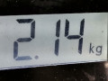 коллектор впускной Mercedes-Benz A-Класс W168/V168 [рестайлинг] 2002, 1.4 л., МКПП, хетчбэк 5 дв., A1661410401 - фото №7