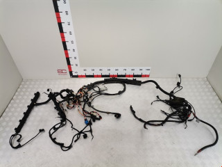 проводка BMW X5 E70 2007, 3.0 л., АКПП, внедорожник 5 дв., 12517559824
