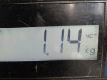 стеклоподъемник электрический задний левый Opel Vectra C 2002, 2.2 л., МКПП, седан, 24451521 - фото №6