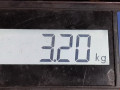 вакуумный усилитель тормозов Renault Sandero 1 поколение 2009, 1.4 л., МКПП, хетчбэк 5 дв., 472100759R - фото №7