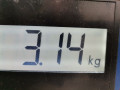 интеркулер Renault Clio 2 поколение [рестайлинг] 2003, 1.5 л., МКПП, хетчбэк 5 дв., 8200685747 - фото №4