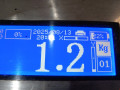 юбка бампера нижняя Ford Focus 3 поколение 2014, 1.6 л., МКПП, хетчбэк 5 дв., BM51A17A894A - фото №4