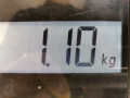 стеклоподъемник электрический задний правый Nissan Qashqai 1 поколение 2009, 1.6 л., МКПП, внедорожник 5 дв., 82700JD40A - фото №5