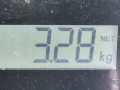 пружина задняя Mitsubishi Colt 6 поколение (Z20/Z30) 2005, 1.3 л., МКПП, хетчбэк 3 дв., MR977616 - фото №4