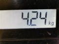 масляный поддон Opel Insignia 1 поколение (A) 2009, 2.0 л., МКПП, хетчбэк 5 дв., 55567087 - фото №8
