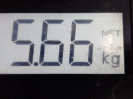барабан тормозной Opel Corsa D 2010, 1.4 л., МКПП, хетчбэк 5 дв., 55704058 - фото №4