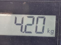 стабилизатор подвески передний Opel Astra H 2007, 1.6 л., МКПП, хетчбэк 3 дв., 13208044 - фото №5
