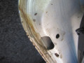 дверь сдвижная Citroen Berlingo 1 поколение (M49) 2000, 2.0 л., МКПП, фургон - фото №4