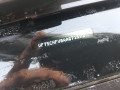 дверь задняя левая Citroen C3 2 поколение 2010, 1.1 л., МКПП, хетчбэк 5 дв., 9002CC - фото №12