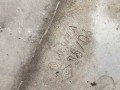 балка подвески передняя (подрамник) Renault Megane 2 поколение 2004, 2.0 л., МКПП, кабриолет, 8200742904 - фото №7