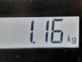 защита арок передняя левая (подкрылок) Ford Focus 2 поколение 2005, 1.6 л., МКПП, хетчбэк 5 дв., 1359240 - фото №8