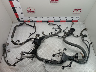 проводка Lexus RX 3 поколение [рестайлинг] 2013, 3.5 л., вариатор, внедорожник 5 дв.